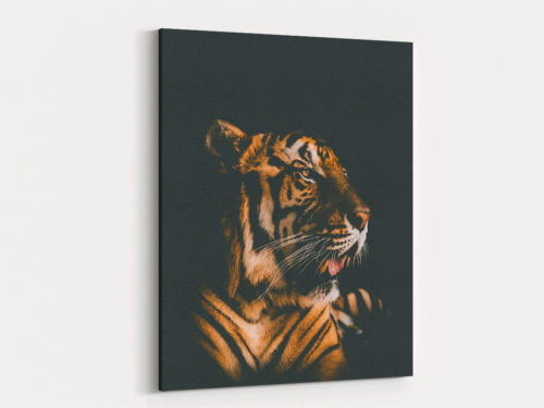 Canvas Art | 186
