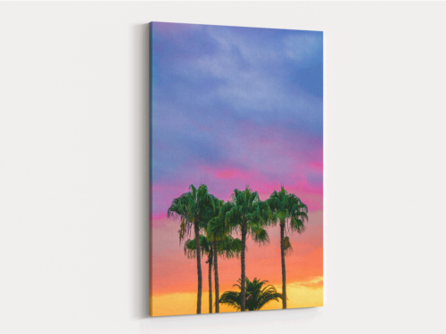 Canvas Art | 204