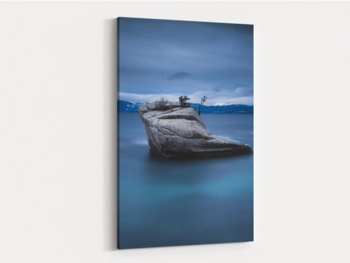 Canvas Art | 207