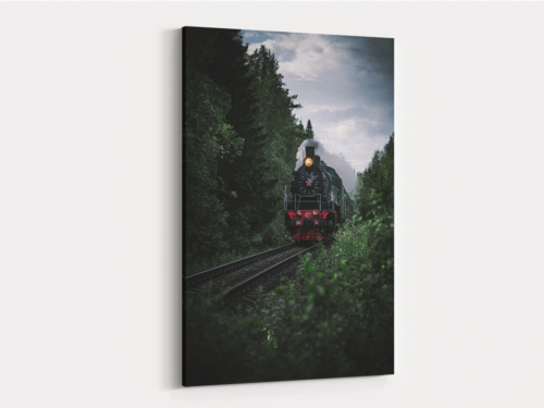 Canvas Art | 208