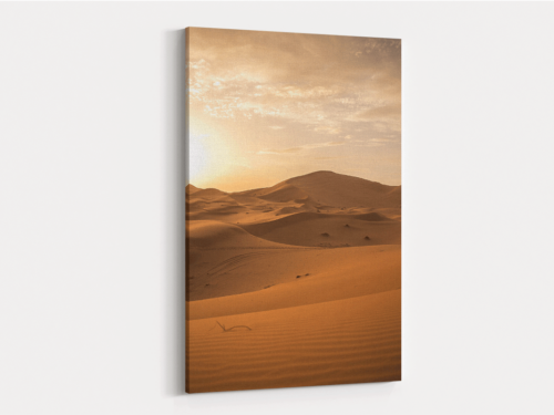 Canvas Art | 223