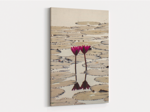 Canvas Art | 229
