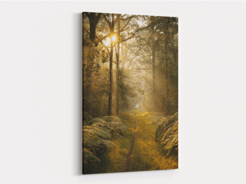 Canvas Art | 230