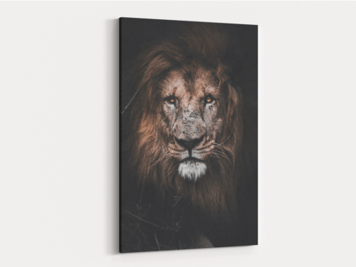 Canvas Art | 235