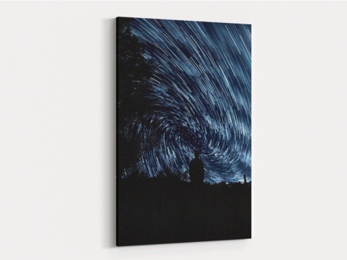 Canvas Art | 242