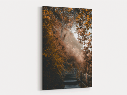 Canvas Art | 250