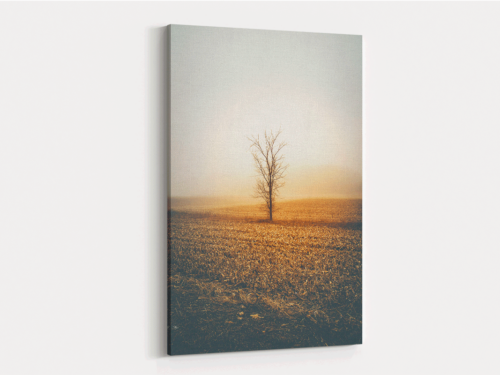 Canvas Art | 253
