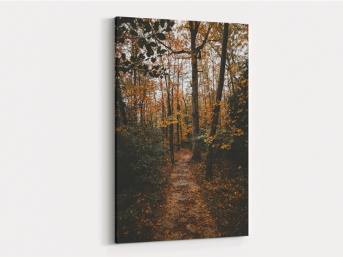 Canvas Art | 257