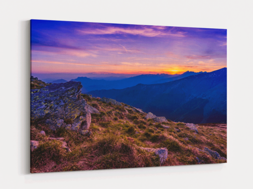 Canvas Art | 260