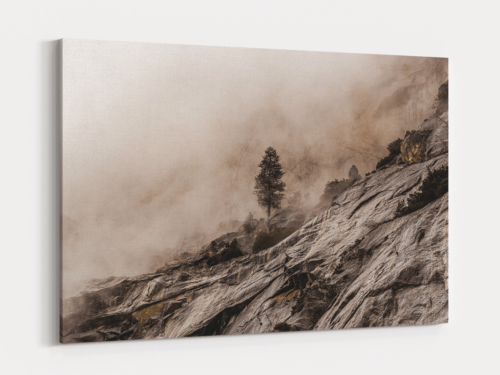 Canvas Art | 268
