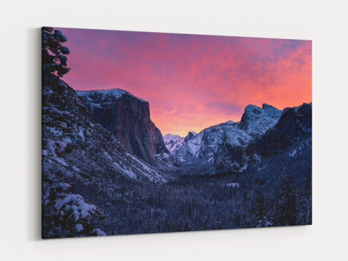Canvas Art | 271