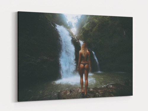 Canvas Art | 282