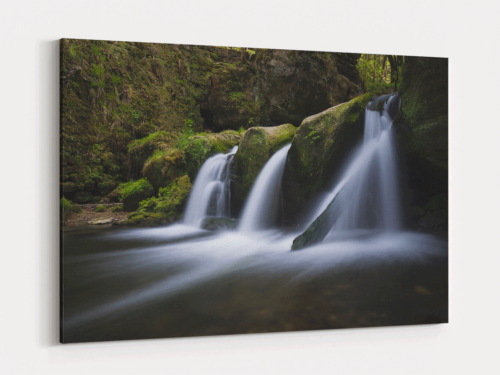 Canvas Art | 289