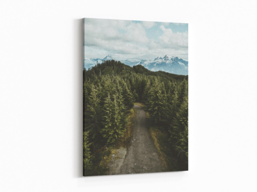 Canvas Art | 70