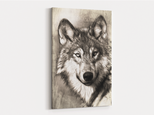 Canvas Art | 354