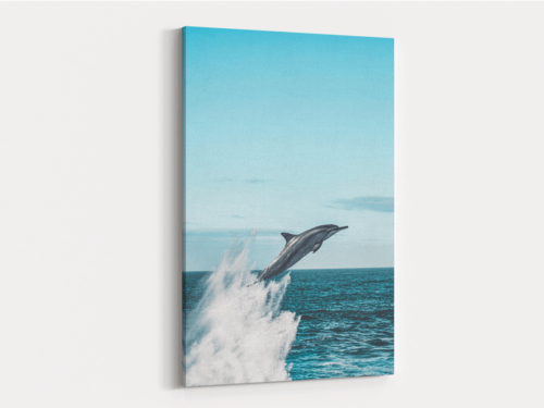 Canvas Art | 358