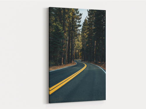 Canvas Art | 239