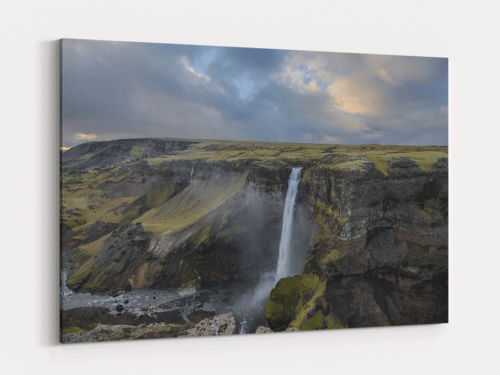 Canvas Art | 281