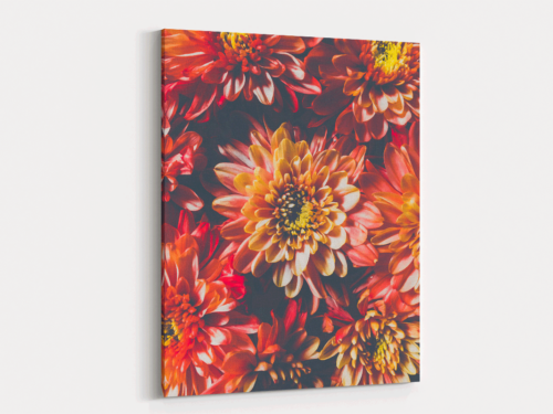 Canvas Art | 296