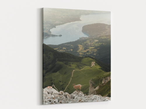 Canvas Art | 298