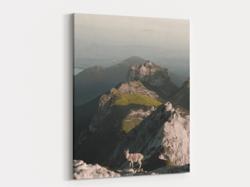 Canvas Art | 299