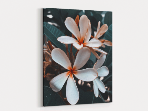 Canvas Art | 313