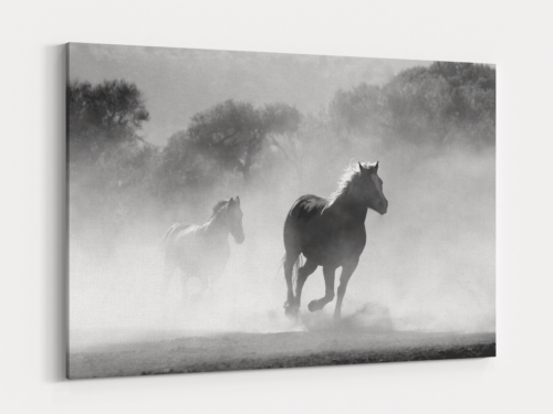 Canvas Art | 372