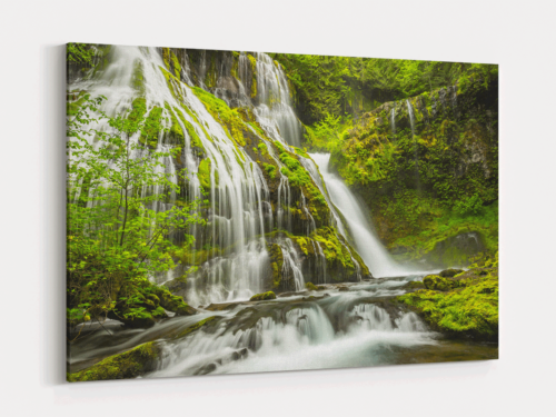 Canvas Art | 322