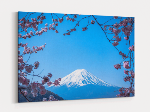 Canvas Art | 348