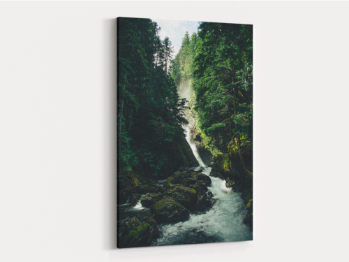 Canvas Art | 415