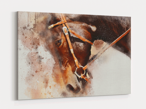 Canvas Art | 416