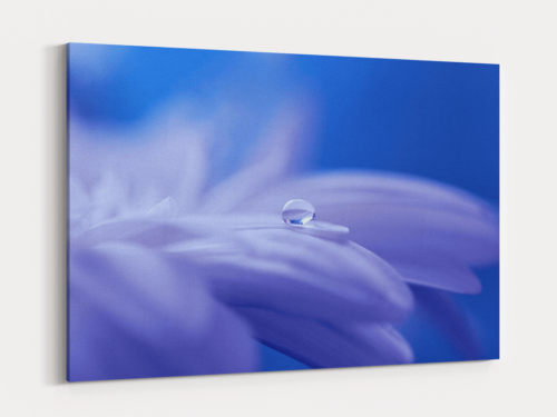 Canvas Art | 419