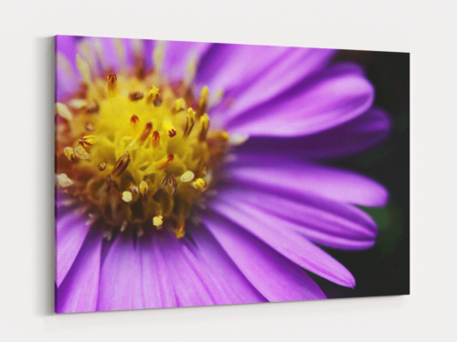 Canvas Art | 423