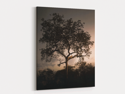 Canvas Art | 389