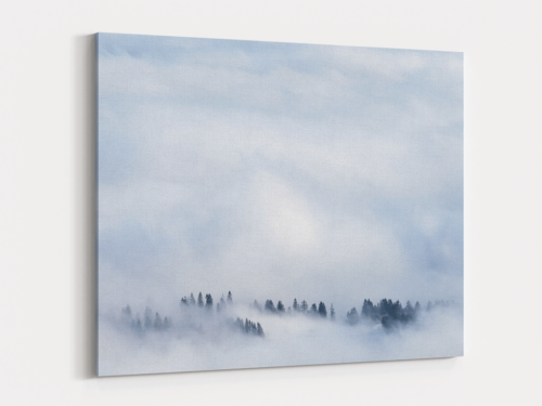 Canvas Art | 459