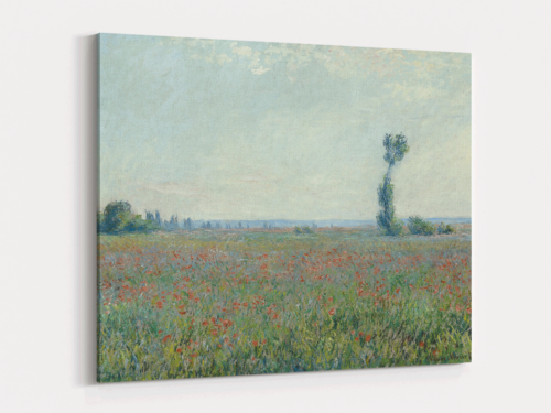 Canvas Art | 462