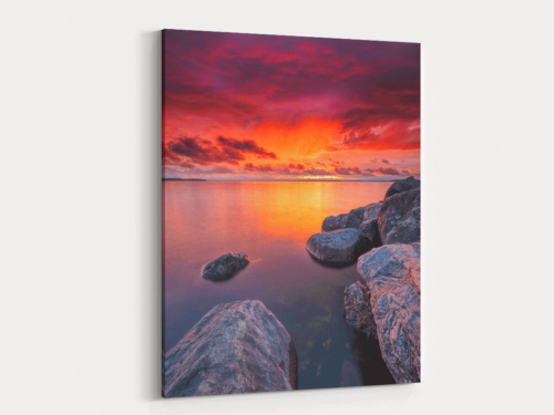 Canvas Art | 464