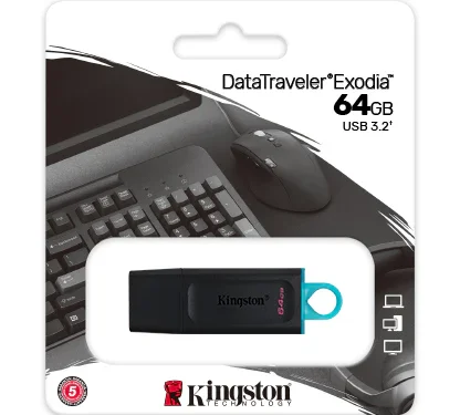USB Kingston 64GB